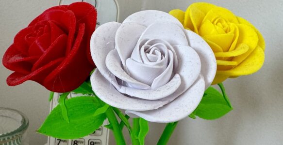 Roses dans un vase