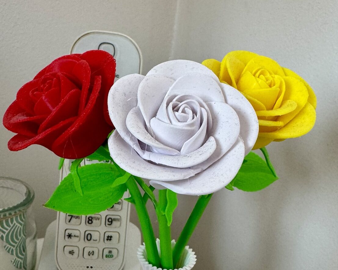 Roses dans un vase